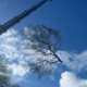 Tree Crane Work Cork